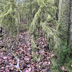 24-02-29 10-08-45 8817